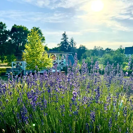 Frida House át Balaton Nyaraló Kisapáti
